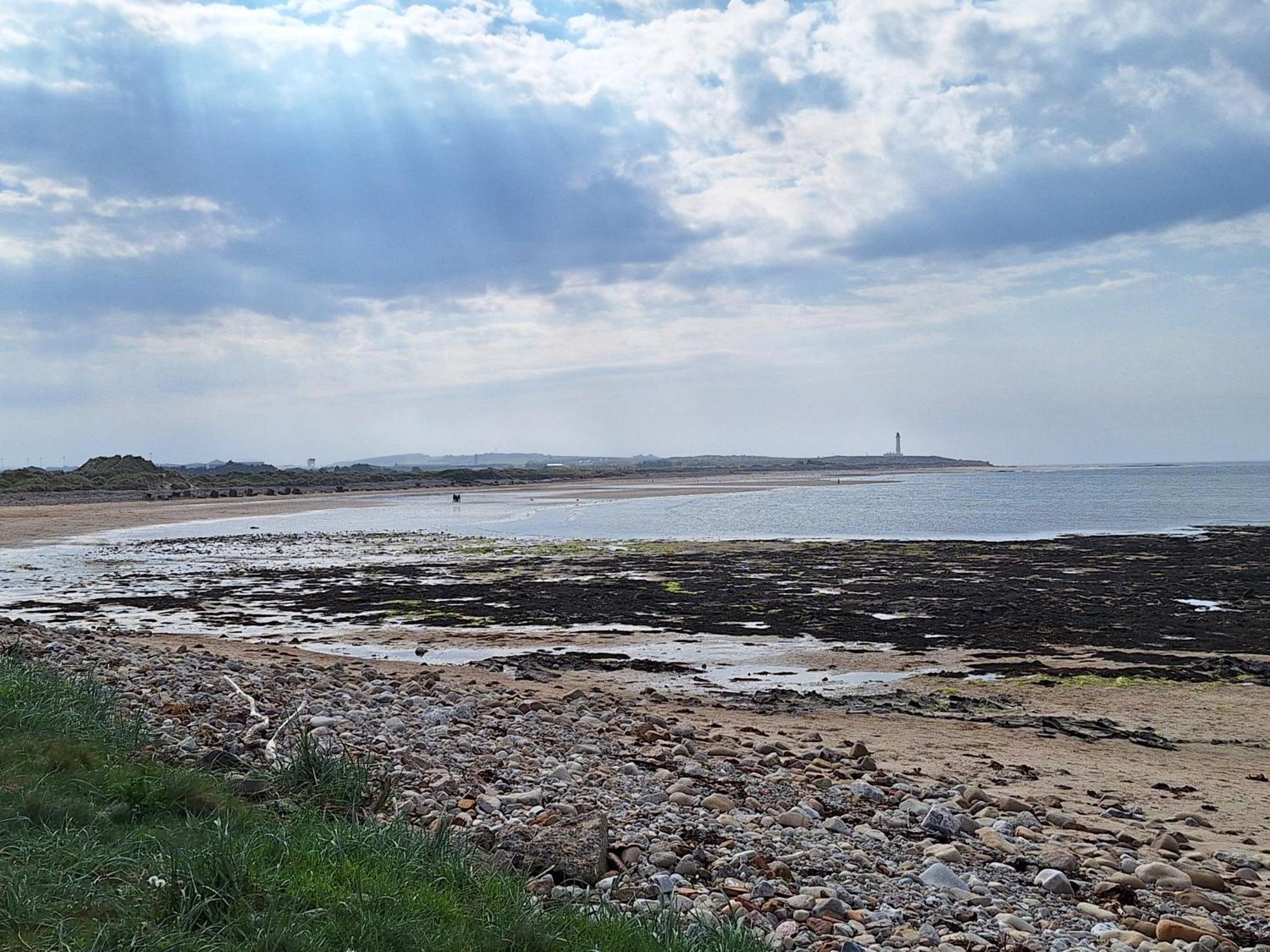 1 Fulmar Road**Next To West Beach And Golf Course Lossiemouth Buitenkant foto